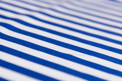 Striped Viscose Twill - Blue / White